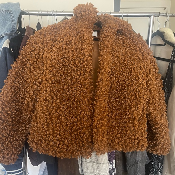 Zara Blogger Brown Teddy Curly Mongolian Faux Fur Coat XS - Picture 5 of 5